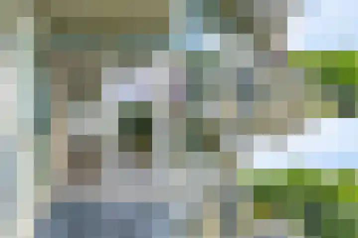 Sint Janskruidlaan 114 Amstelveen thumbnail 6
