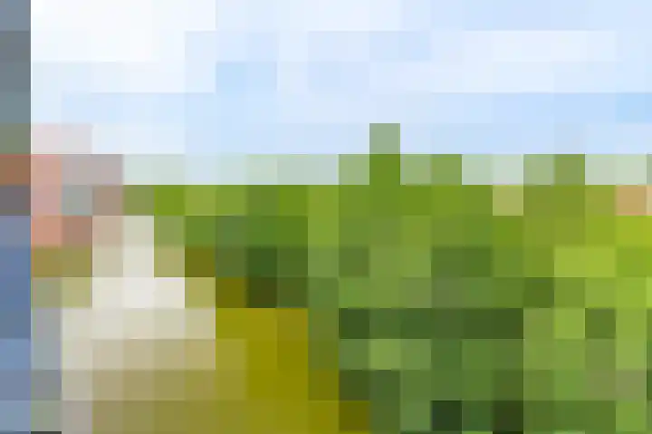 Sint Janskruidlaan 114 Amstelveen thumbnail 8