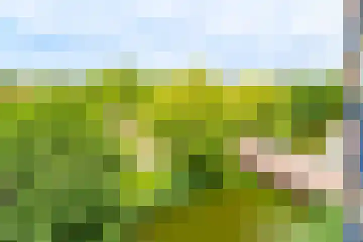 Sint Janskruidlaan 114 Amstelveen thumbnail 9