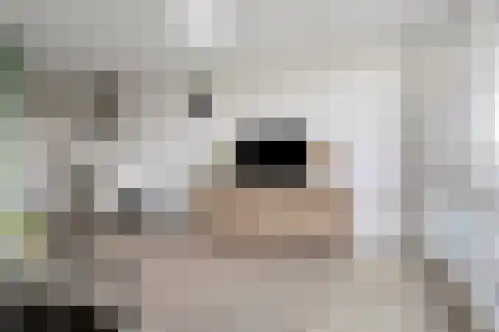 Sint Janskruidlaan 116 Amstelveen thumbnail 5
