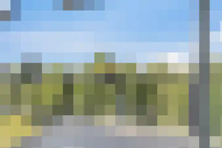 Sint Janskruidlaan 116 Amstelveen thumbnail 6