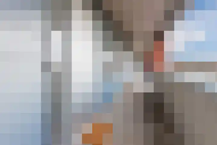 Sint Janskruidlaan 170 Amstelveen thumbnail 29