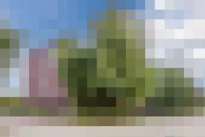 Sint Janskruidlaan 170 Amstelveen thumbnail 31