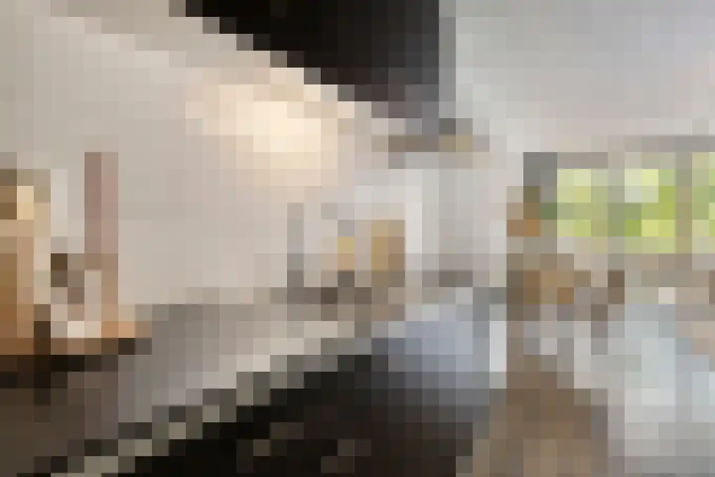 Sint Janskruidlaan 288 Amstelveen thumbnail 16