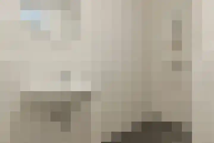 Sint Janskruidlaan 342 Amstelveen thumbnail 11