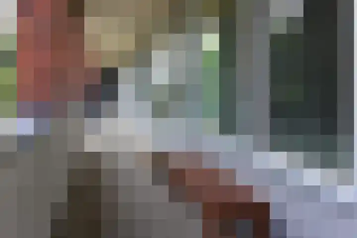 Sint Janskruidlaan 342 Amstelveen thumbnail 18
