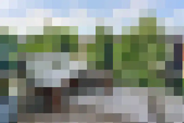 Sint Janskruidlaan 342 Amstelveen thumbnail 20