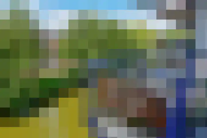 Sint Janskruidlaan 342 Amstelveen thumbnail 24