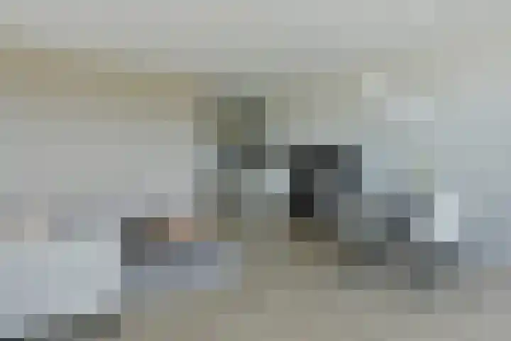 Sint Janskruidlaan 342 Amstelveen thumbnail 6