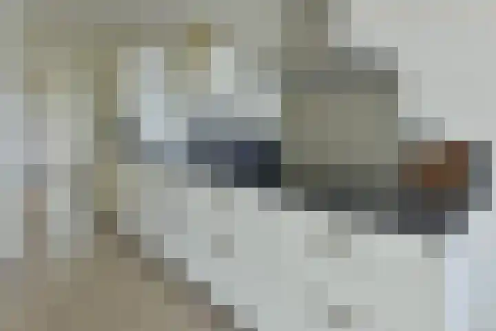 Sint Janskruidlaan 342 Amstelveen thumbnail 8