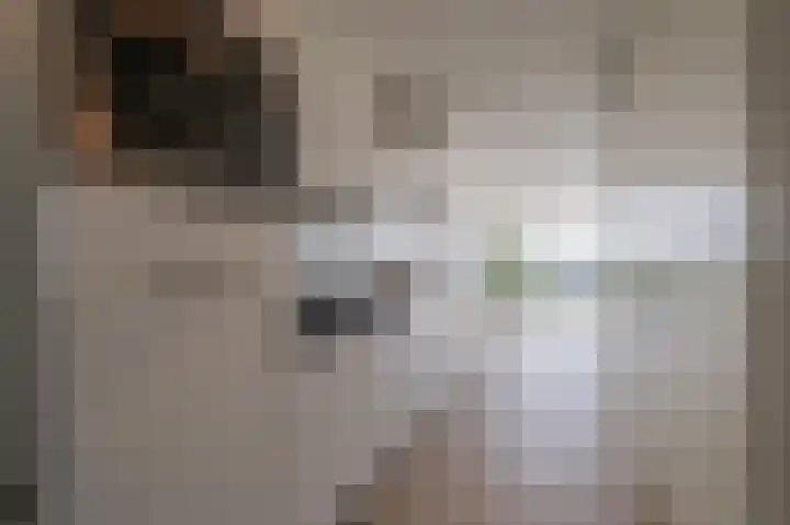Sint Janskruidlaan 354 Amstelveen thumbnail 20