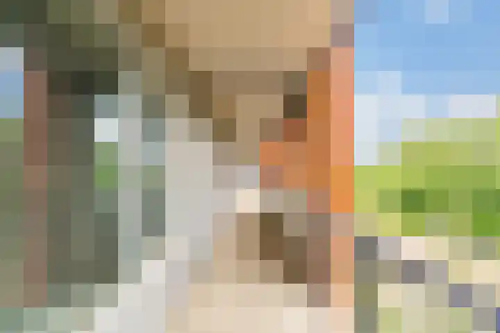 Sint Janskruidlaan 354 Amstelveen thumbnail 30