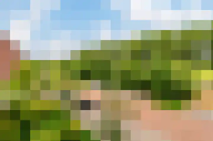 Sint Janskruidlaan 354 Amstelveen thumbnail 38