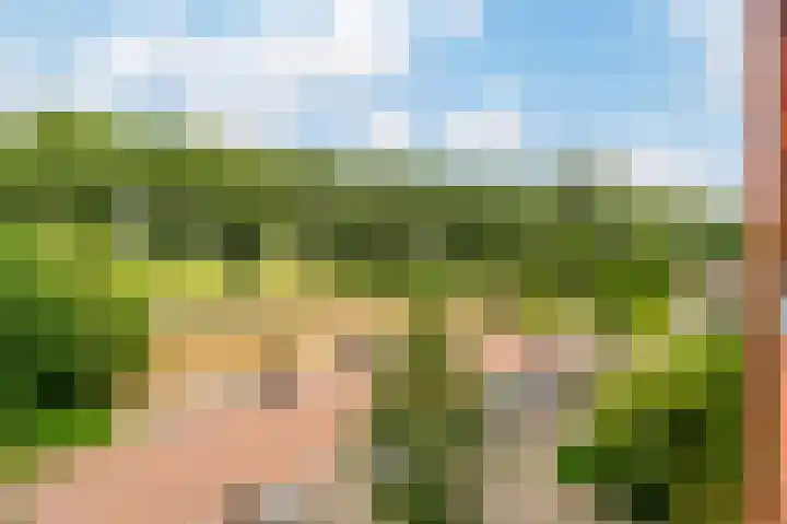 Sint Janskruidlaan 354 Amstelveen thumbnail 39