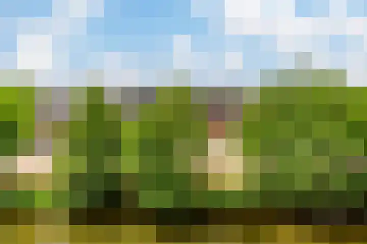 Sint Janskruidlaan 354 Amstelveen thumbnail 40