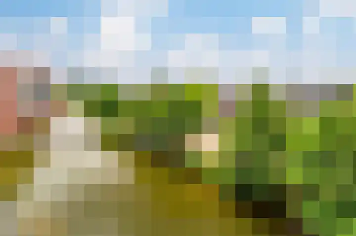Sint Janskruidlaan 354 Amstelveen thumbnail 41
