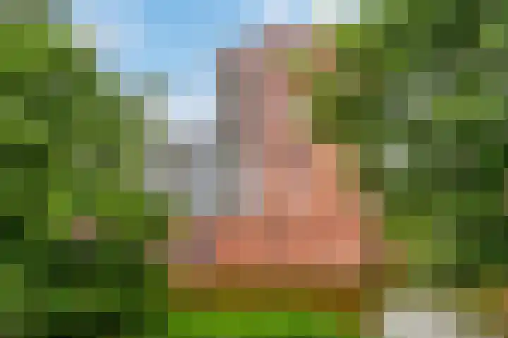 Sint Janskruidlaan 354 Amstelveen thumbnail 43