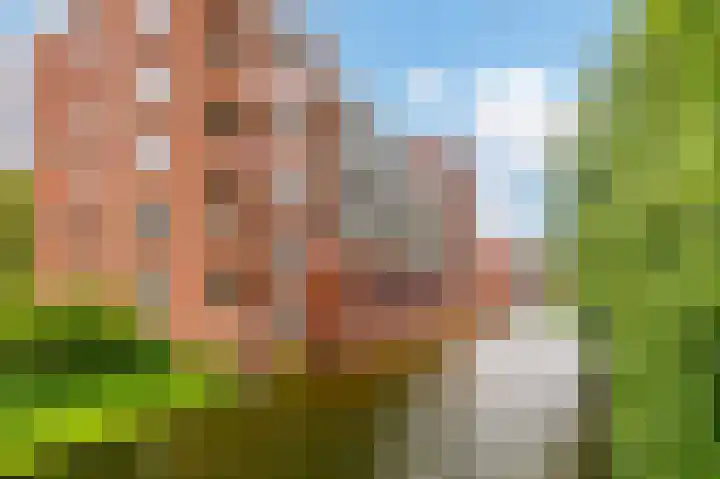 Sint Janskruidlaan 354 Amstelveen thumbnail 46