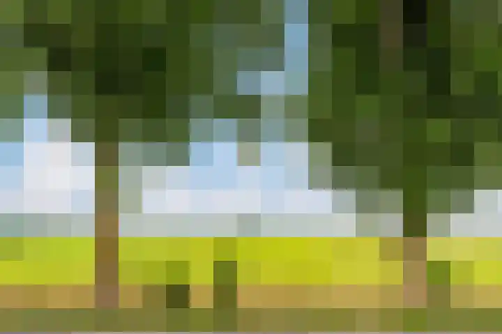 Sint Janskruidlaan 354 Amstelveen thumbnail 47