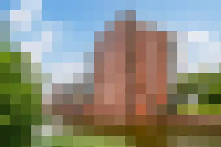 Sint Janskruidlaan 354 Amstelveen thumbnail 53