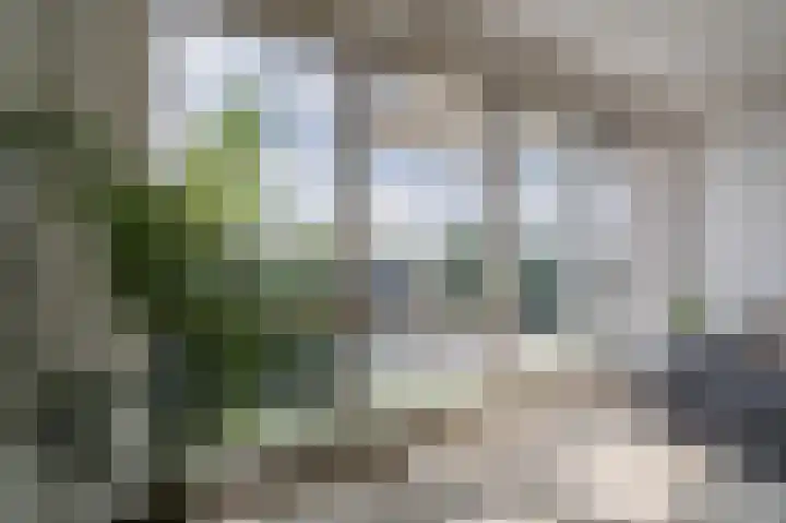 Sint Janskruidlaan 354 Amstelveen thumbnail 8