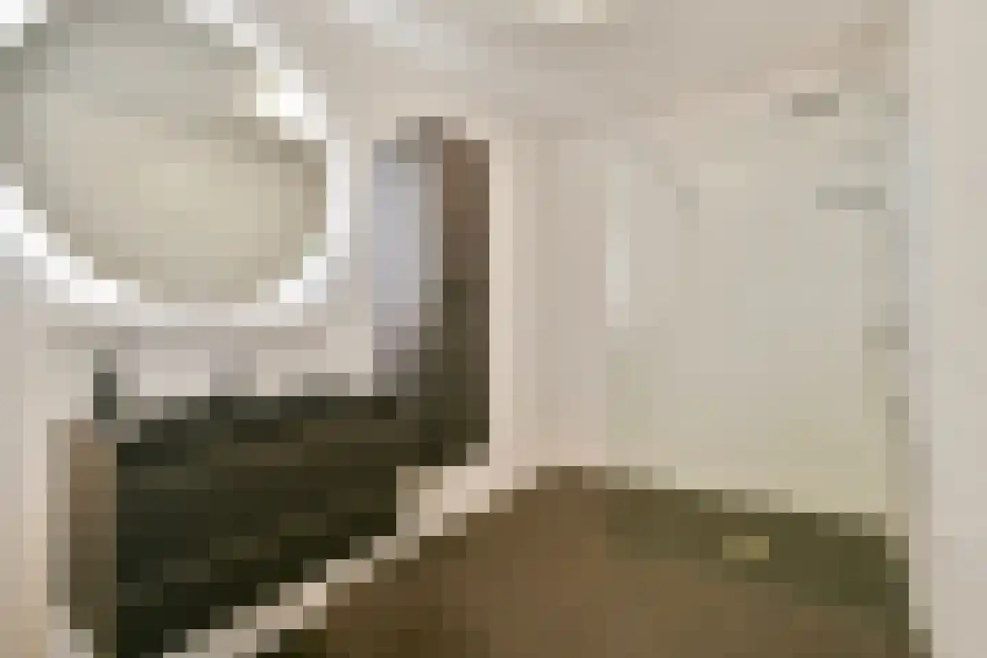 Sint Janskruidlaan 374 Amstelveen thumbnail 16