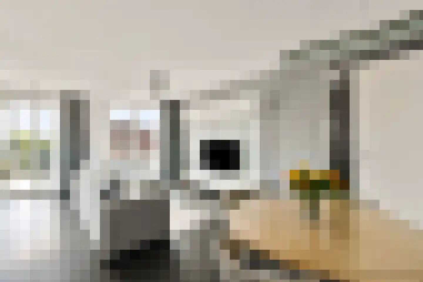 Sint Janskruidlaan 374 Amstelveen thumbnail 7