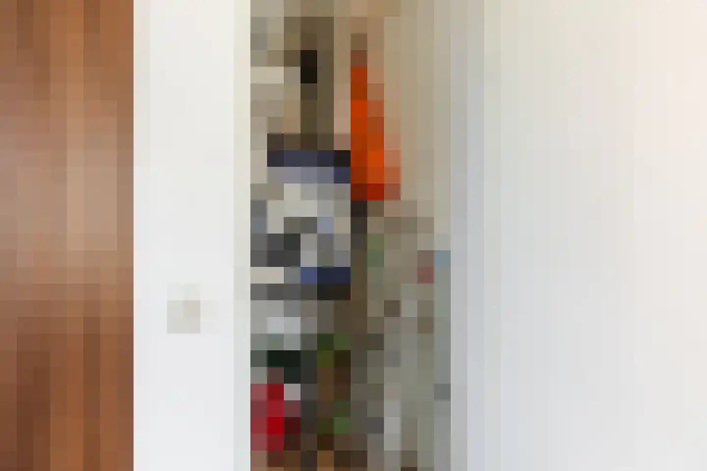 Sint Janskruidlaan 90 Amstelveen thumbnail 19