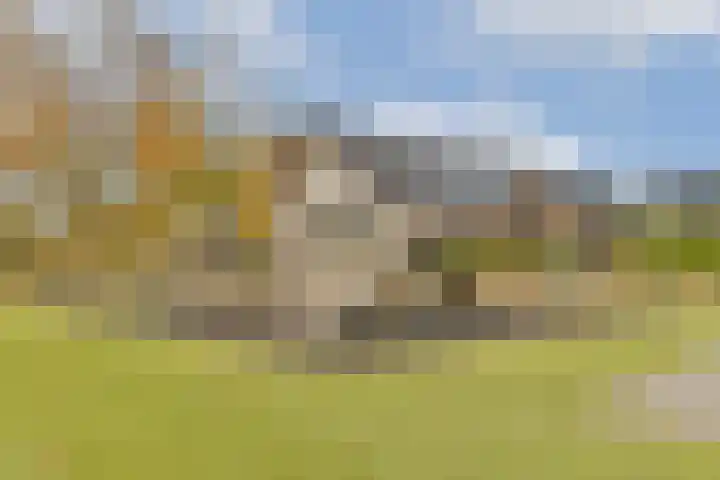 Sint Janskruidlaan 94 Amstelveen thumbnail 20
