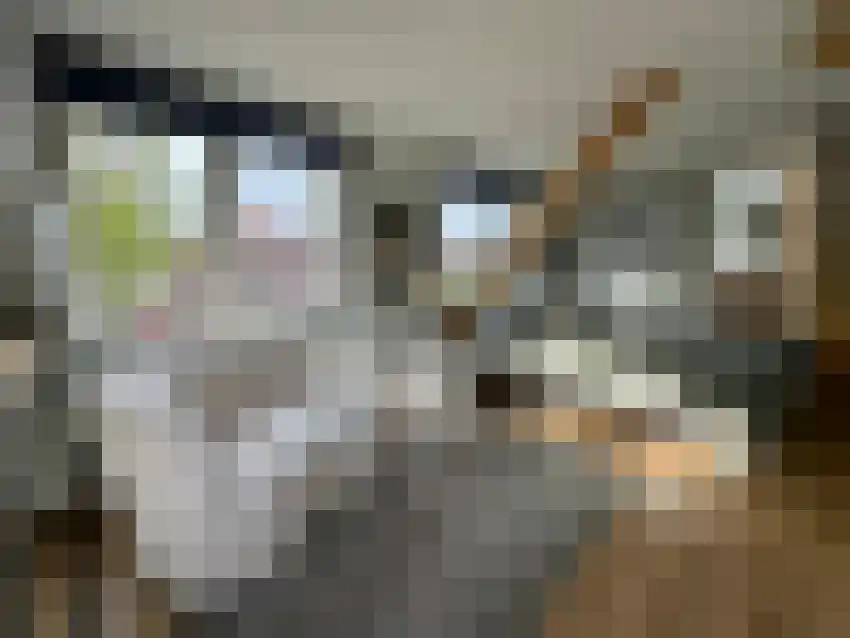 Sint Janslaan 10 Bussum thumbnail 15