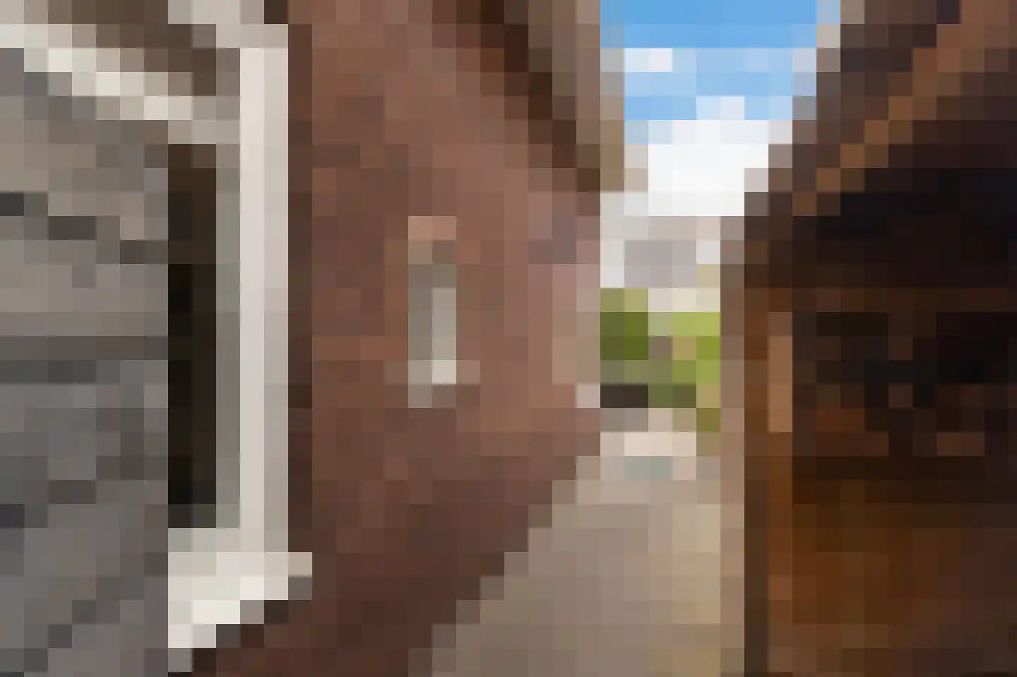 Sint Janslaan 3 Bussum thumbnail 32
