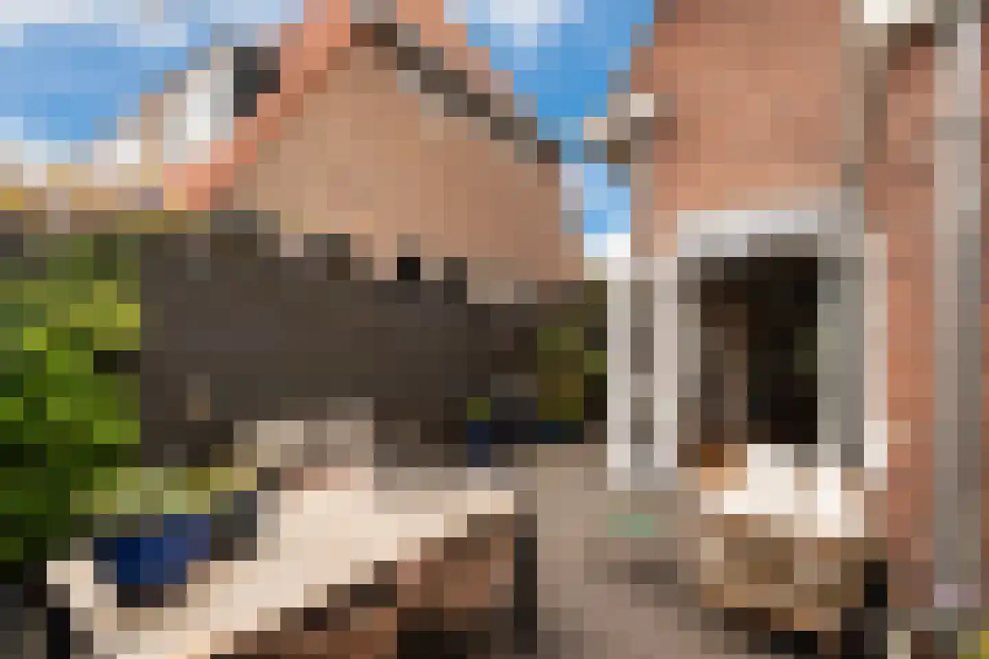 Sint Janslaan 3 Bussum thumbnail 4