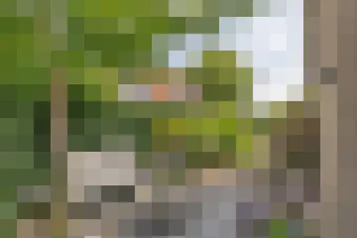 Sint Janslaan 48 A Bussum thumbnail 12
