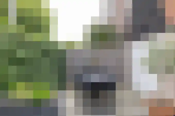 Sint Janslaan 48 A Bussum thumbnail 15