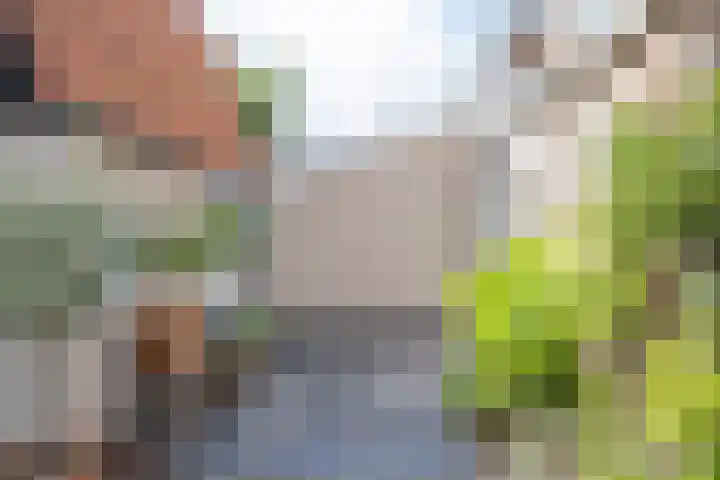 Sint Janslaan 48 A Bussum thumbnail 27