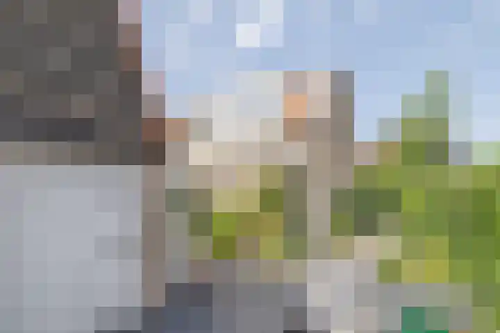 Sint Janslaan 48 A Bussum thumbnail 28
