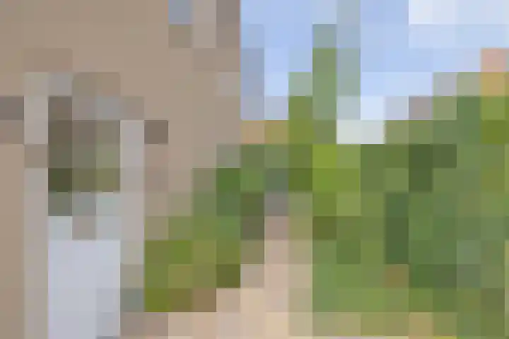 Sint Janslaan 48 A Bussum thumbnail 29