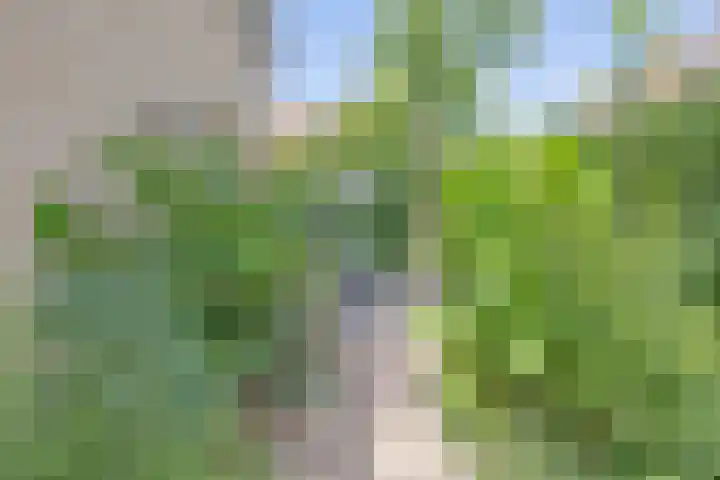 Sint Janslaan 48 A Bussum thumbnail 30