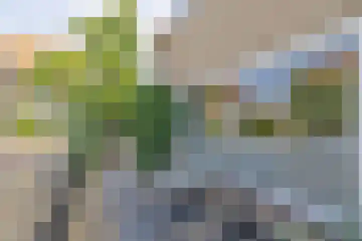 Sint Janslaan 48 A Bussum thumbnail 32