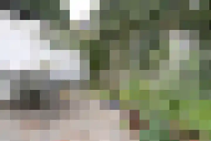 Sint Janslaan 51 Bussum thumbnail 16