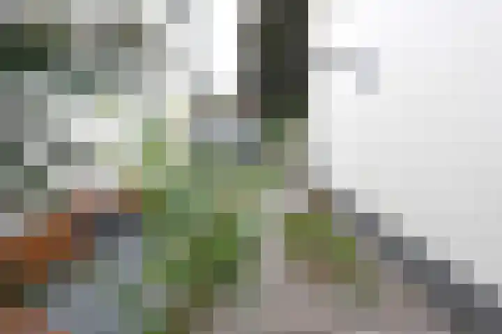 Sint Janslaan 51 Bussum thumbnail 17