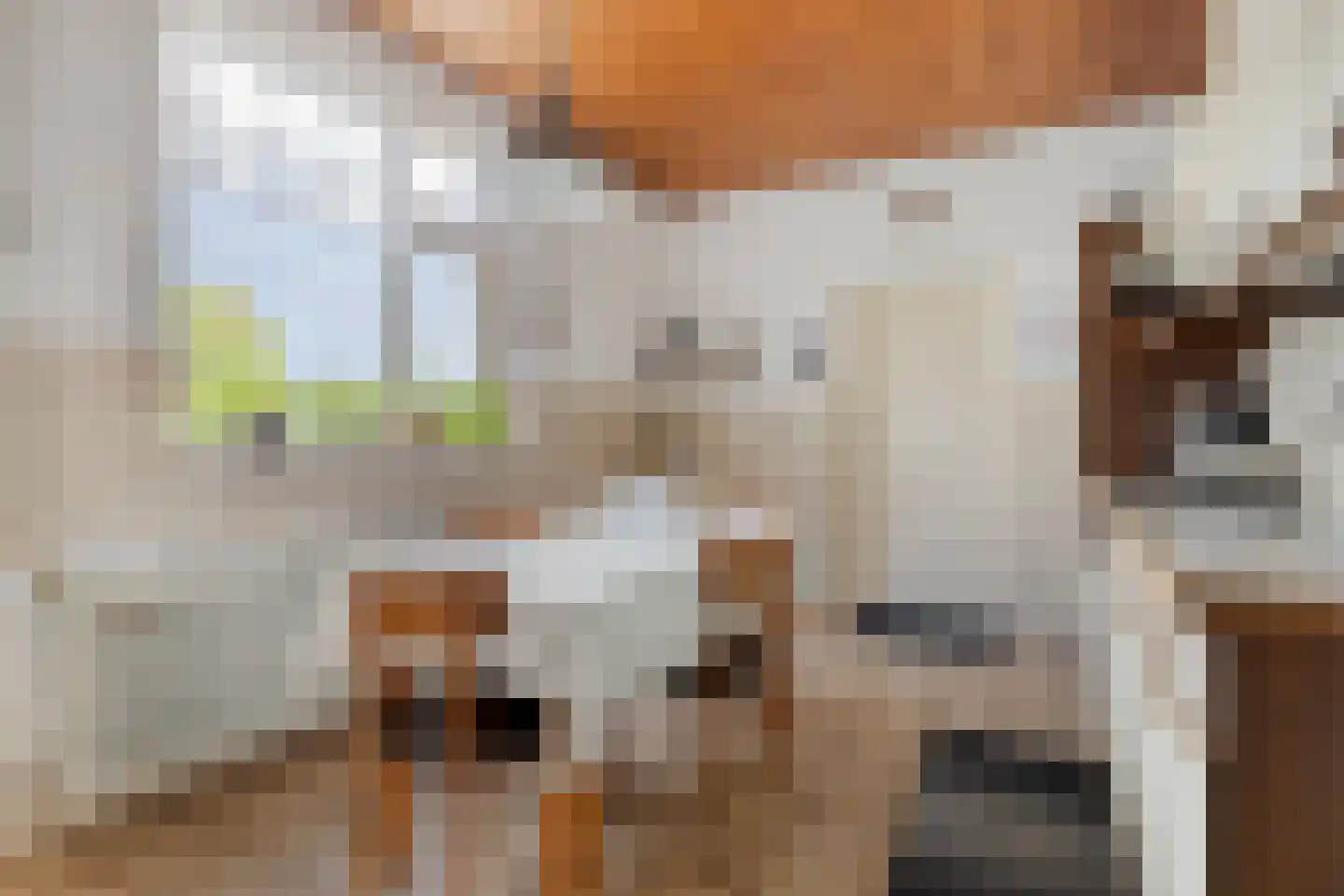 Sint Janslaan 6 Sambeek thumbnail 12