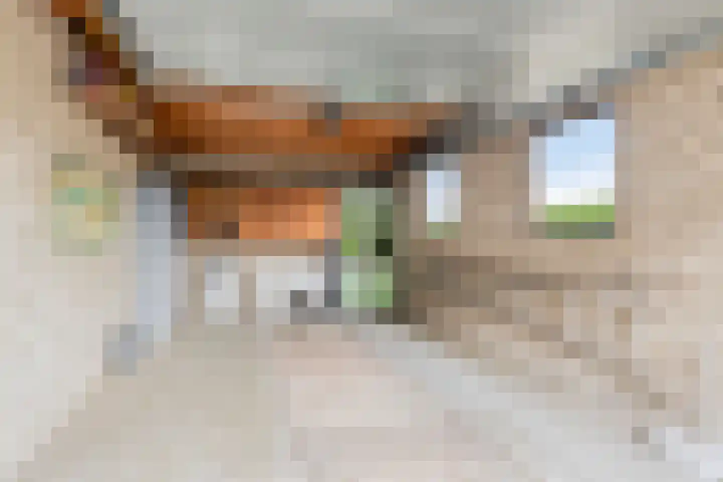 Sint Janslaan 6 Sambeek thumbnail 34