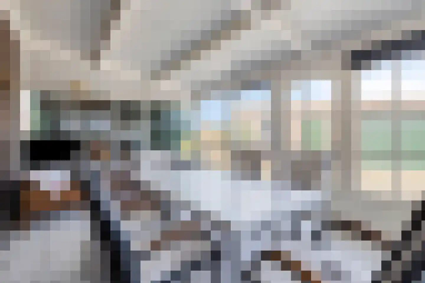 Sint Janslaan 6 Sambeek thumbnail 37