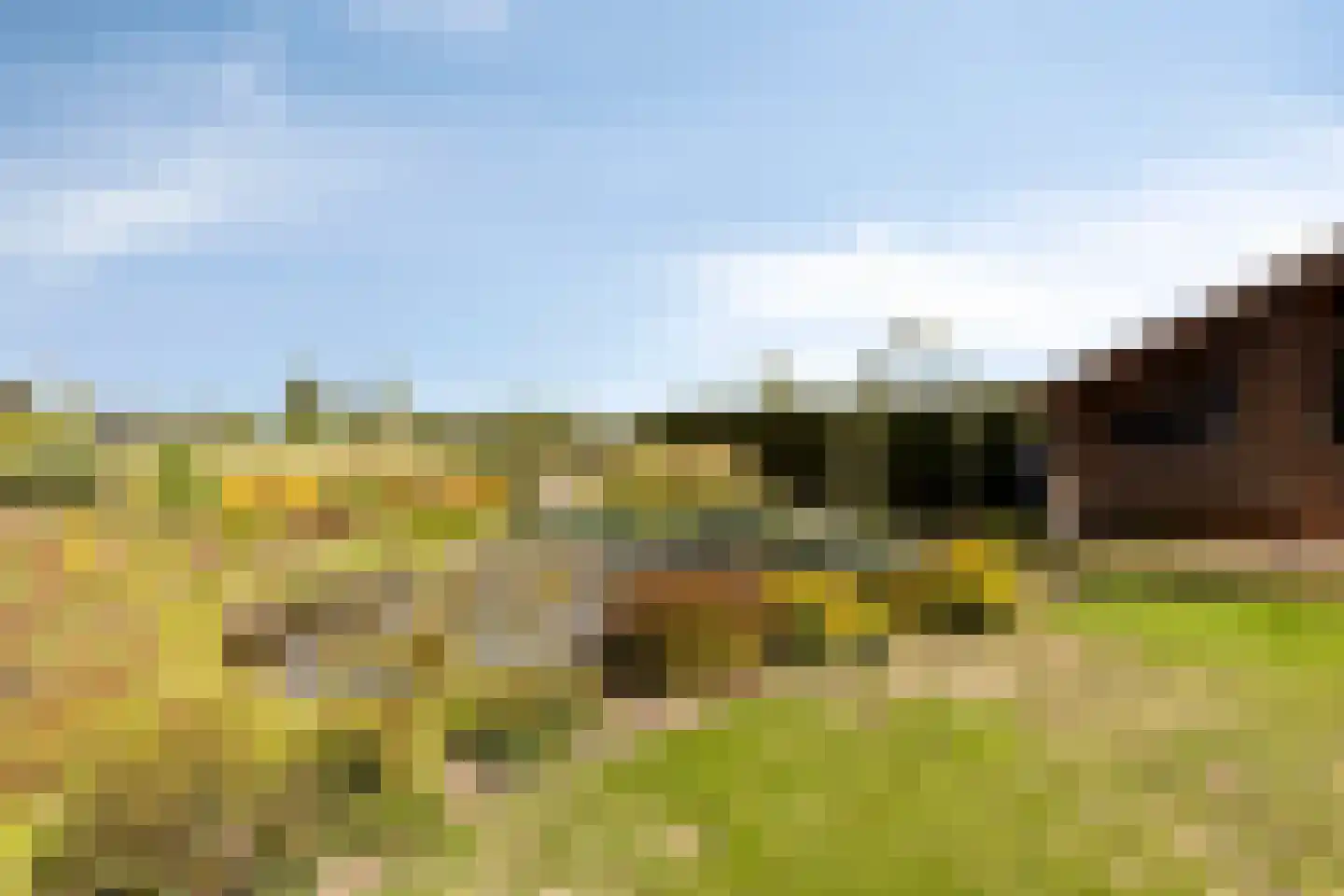 Sint Janslaan 6 Sambeek thumbnail 40