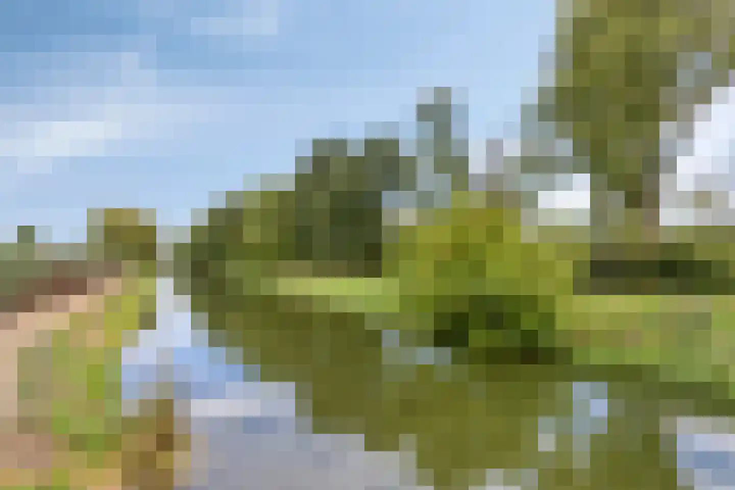 Sint Janslaan 6 Sambeek thumbnail 53