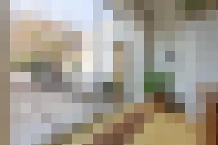 Sint Janslaan 62 Bussum thumbnail 32