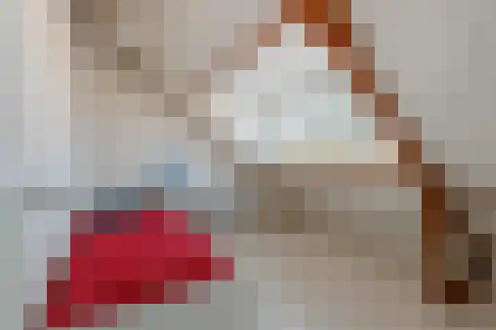 Sint Janslaan 84 Bussum thumbnail 28