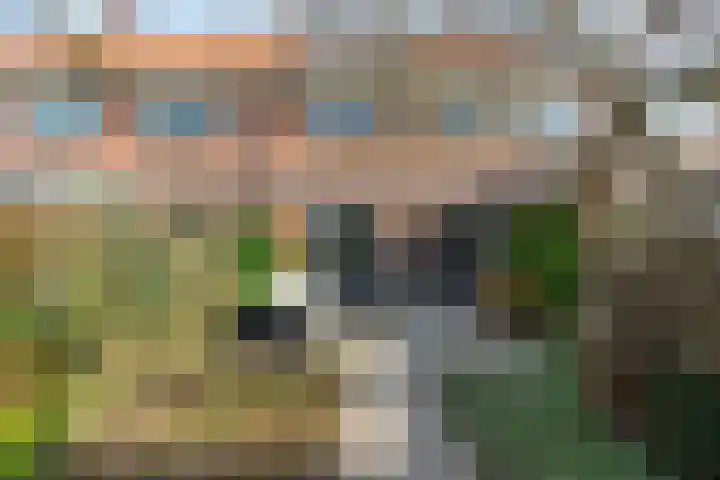 Sint Janslaan 84 Bussum thumbnail 4