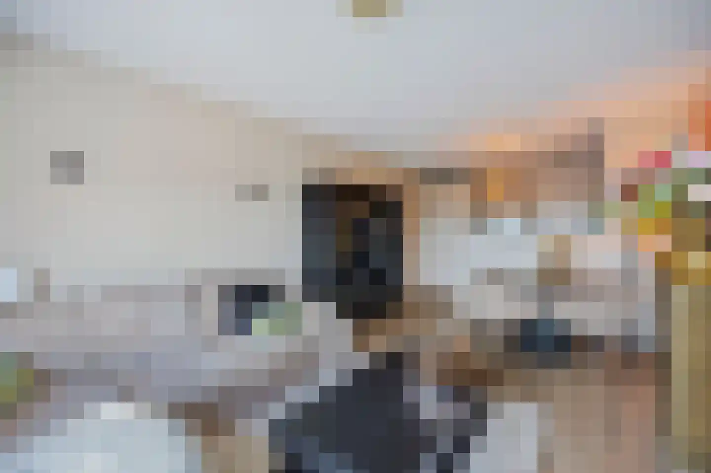 Sint Jansplein 8 F Swalmen thumbnail 13